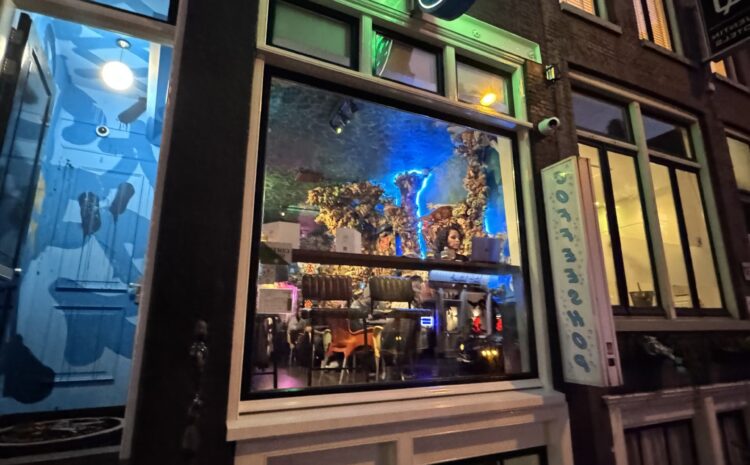  Top 8 Amsterdam Coffeeshops with Outstanding Reviews and Ratings